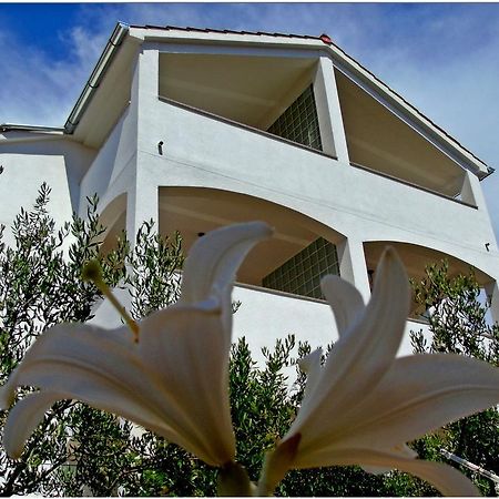 Apartments Purkovic Vodice Eksteriør billede