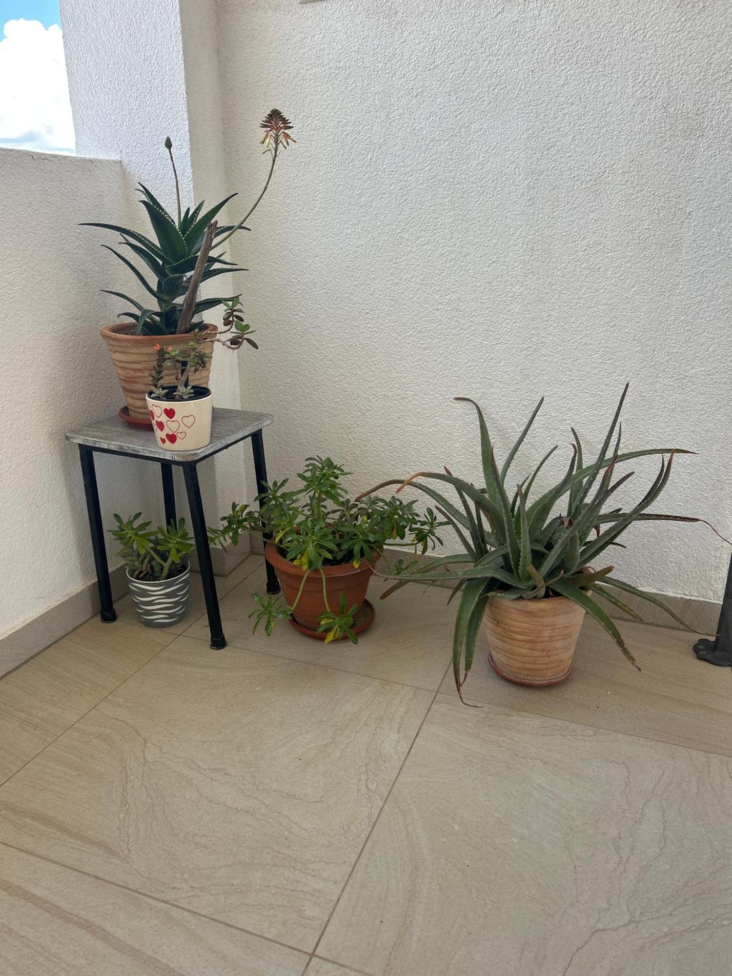 Apartments Purkovic Vodice Eksteriør billede